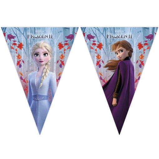 Picture of Frozen Flags 10 pcs