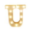 Picture of LED Letter Lights