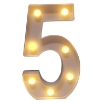 Picture of LED Number Lights