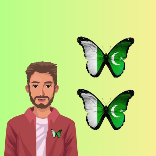 Picture of Azadi Butterfly Pocket Badge 🇵🇰
